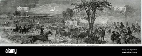  The Great Cattle Raid of 583: A Glimpse into Early Bantu Warfare and Cattle Culture